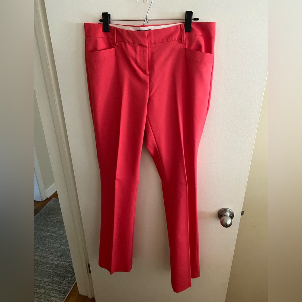 Express Columnist Dress Pants